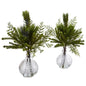 Mixed Pine in Glass Vase