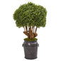 44" Boxwood Artificial Topiary Tree in Metal Planter