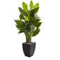 63"  Spathyfillum Artificial Plant in Black Planter (Real Touch)