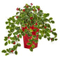 23"  Variegated Holly with Berries Artificial Plant in Red Planter (Real Touch)