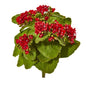 8"  Kalanchoe Artificial Bush Flower (Set of 6)