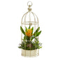 19"  Bromeliad & Succulent Artificial Arrangement in Bird Cage