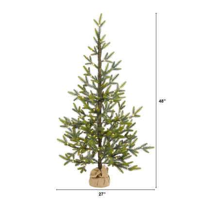 4' Fraser Fir 'Natural Look' Artificial Christmas Tree w/ 100 Clear LED Lights