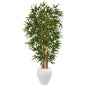 5' Bamboo Tree in Oval White Planter