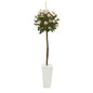 5' Rose Topiary Artificial Tree in White Planter