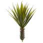 Spiky Agave Succulent Plant (Set of 2)