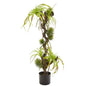 41" Air Plant and Succulent Jungle Artificial Plant