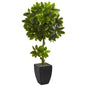 5.5' Schefflera Artificial Tree in Black Wash Planter UV Resistant