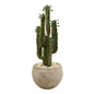 2.5' Cactus Artificial Plant in Bowl Planter
