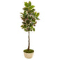 67"  Variegated Rubber Leaf Artificial Tree in Planter (Real Touch)