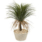 32" Pony Tail Palm Artificial Plant in White Planter