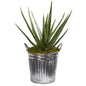 25"  Aloe Artificial Plant in Vintage Metal Bucket