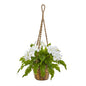 29" Phalaenopsis Orchid and Fern Artificial Plant in Hanging Basket