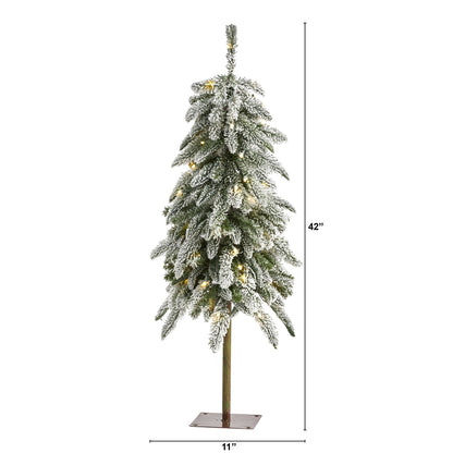 3.5' Flocked Washington Alpine Christmas Tree with 50 White Warm LED lights
