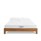 Aveline 6" Queen Mattress by Modway