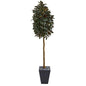 71"  Capensia Ficus Artificial Tree in Slate Planter