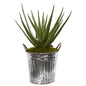 22"  Aloe Artificial Plant in Vintage Metal Pail