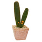 23"  Cactus Succulent Artificial Plant in Terra Cotta Planter