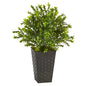 19" Sweet Grass Artificial Plant in Embossed Black Planter