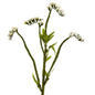 22"  Baby Breath Artificial Flower (Set of 24)