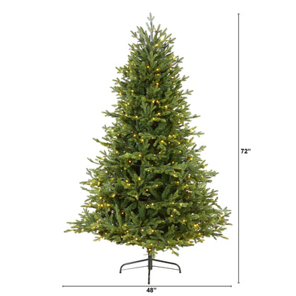 6' Wyoming Spruce Artificial Christmas Tree w/ 400 Clear LED Lights