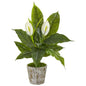 29"  Spathifyllum Artificial Plant in Weathered Oak Planter