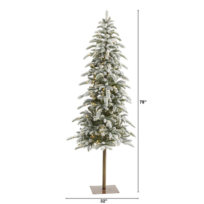 6.5' Flocked Washington Alpine Christmas Artificial Tree w/250 White Warm LED