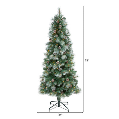 6' Frosted Tip British Columbia Mountain Pine Artificial Christmas Tree
