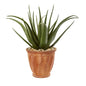 27"  Aloe Artificial Plant in Terra-cotta Planter