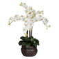 Phalaenopsis w/Decorative Vase Silk Flower Arrangement