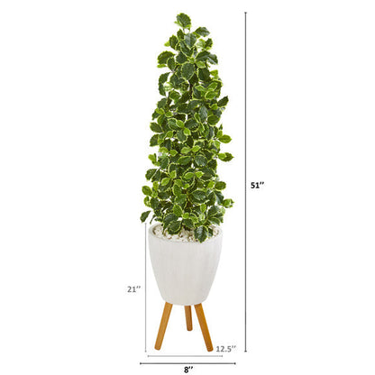 51" Variegated Holly Leaf Artificial Tree in White Planter with Stand