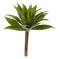 32' Agave Plant w/Stem