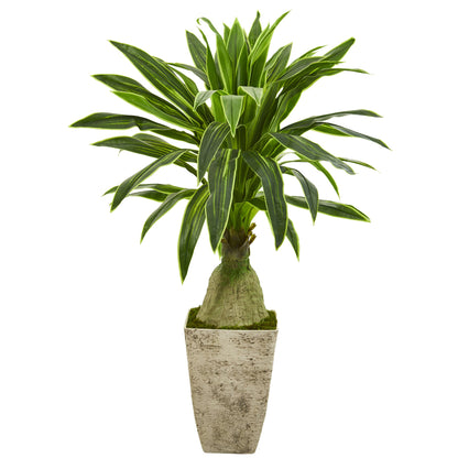 62" Dracaena Artificial Plant in Country White Planter