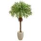 63"  Robellini Palm Artificial Tree in Sandstone Planter