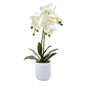 Phalaenopsis In Frosted Glass 4571 By Nearly Natural