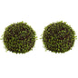 9"  Mohlenbechia Ball (Set of 2)