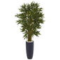6.5' Bamboo Tree in Gray Cylinder Planter