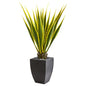 4' Agave Artificial Plant in Black Planter