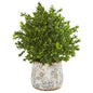 18"  Sweet Grass Artificial Plant in Floral Vase (Indoor/Outdoor)