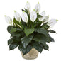35"  Spathifyllum Artificial Plant in White Planter