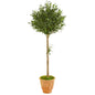 5' Olive Topiary Artificial Tree in Terra Cotta Planter