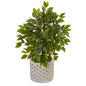 17" Mini Ficus Artificial Tree in Stoneware Vase with Gold Trimming