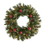 24" Frosted Artificial Christmas Wreath with 50 Warm White LED Lights