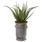 31" Aloe Artificial Plant in Metal Planter