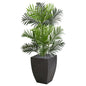 Paradise Palm Artificial Tree in Black Planter