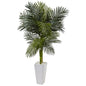 5' Golden Cane Palm Tree in White Tower Planter