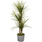 59" Yucca Artificial Tree in Black Embossed Tin Planter