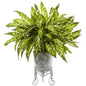 Aglaonema with Metal Planter