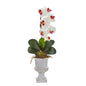 Phalaenopsis Orchid and Succulent Artificial Arrangement in Urn