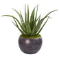 26"  Aloe Artificial Plant in Decorative Bowl